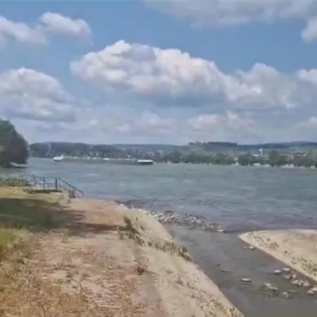 アパート Wohnen Am インゲルハイム・アム・ライン